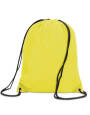 Stafford Drawstring Tote Backpack - Image 8