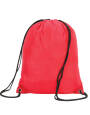 Stafford Drawstring Tote Backpack - Image 9